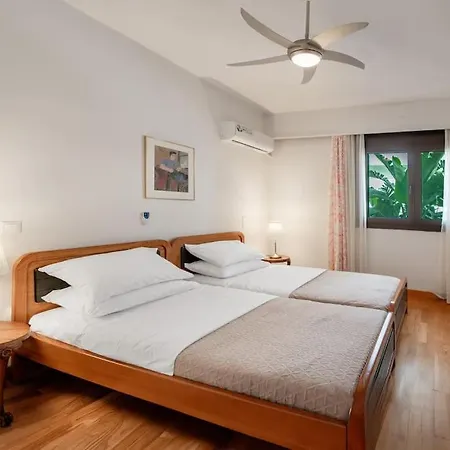 Plumeria Alba * Rhodes City